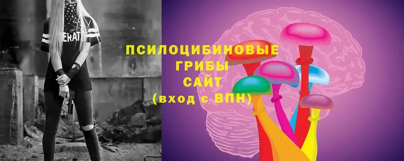 Псилоцибиновые грибы Cubensis Гремячинск